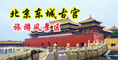 欧美操穴视频免费在线观看中国北京-东城古宫旅游风景区